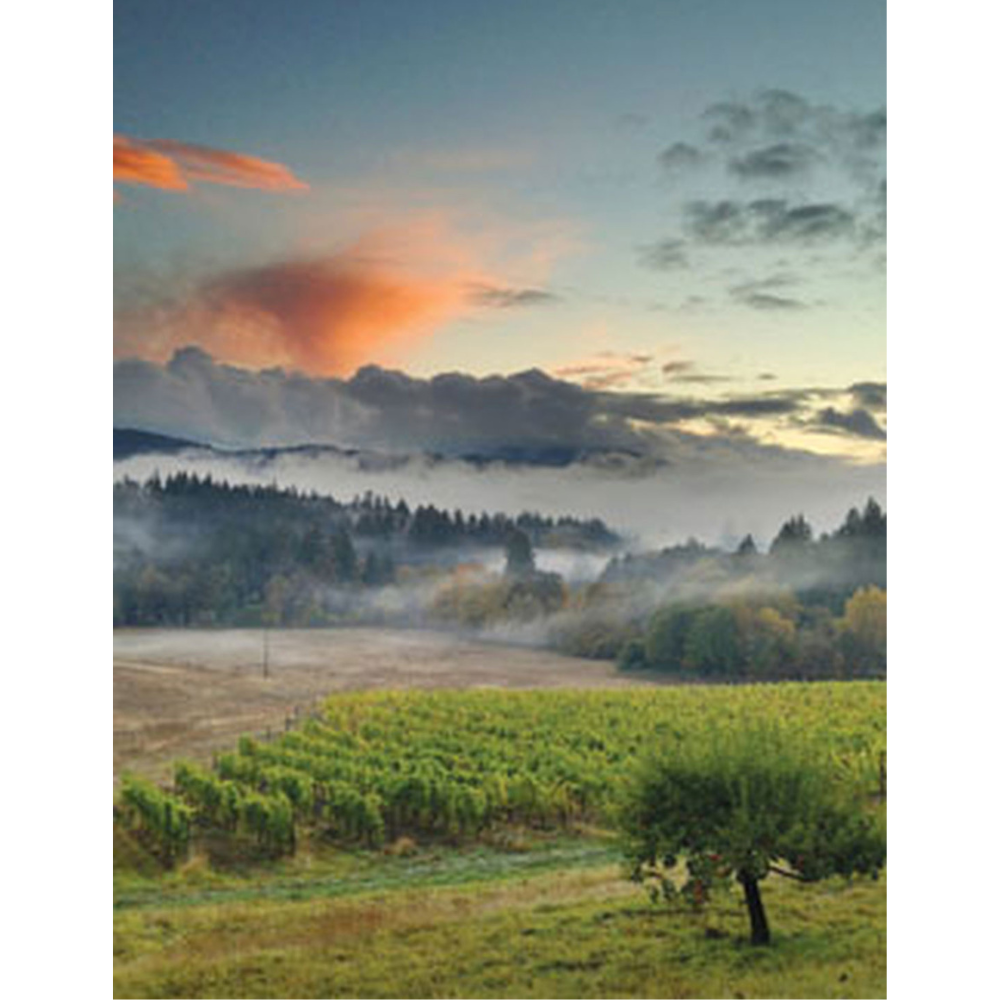 Benton-Lane Pinot Noir