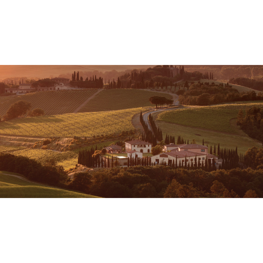 Caparzo Sangiovese Toscana