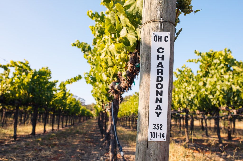 Chalk Hill Russian River Valley Chardonnay