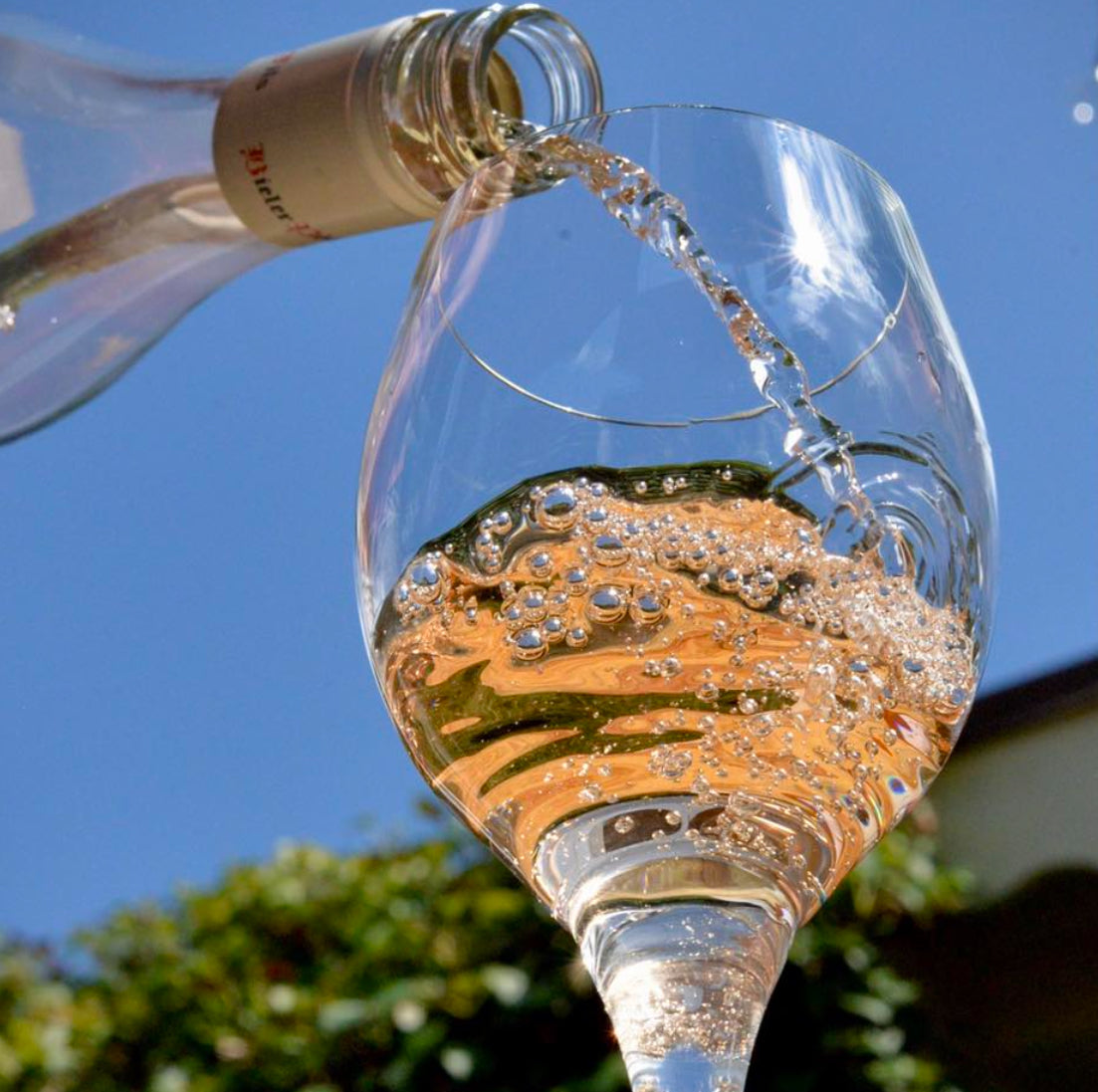 Bieler Père et fils Côtes du Rhône Rosé