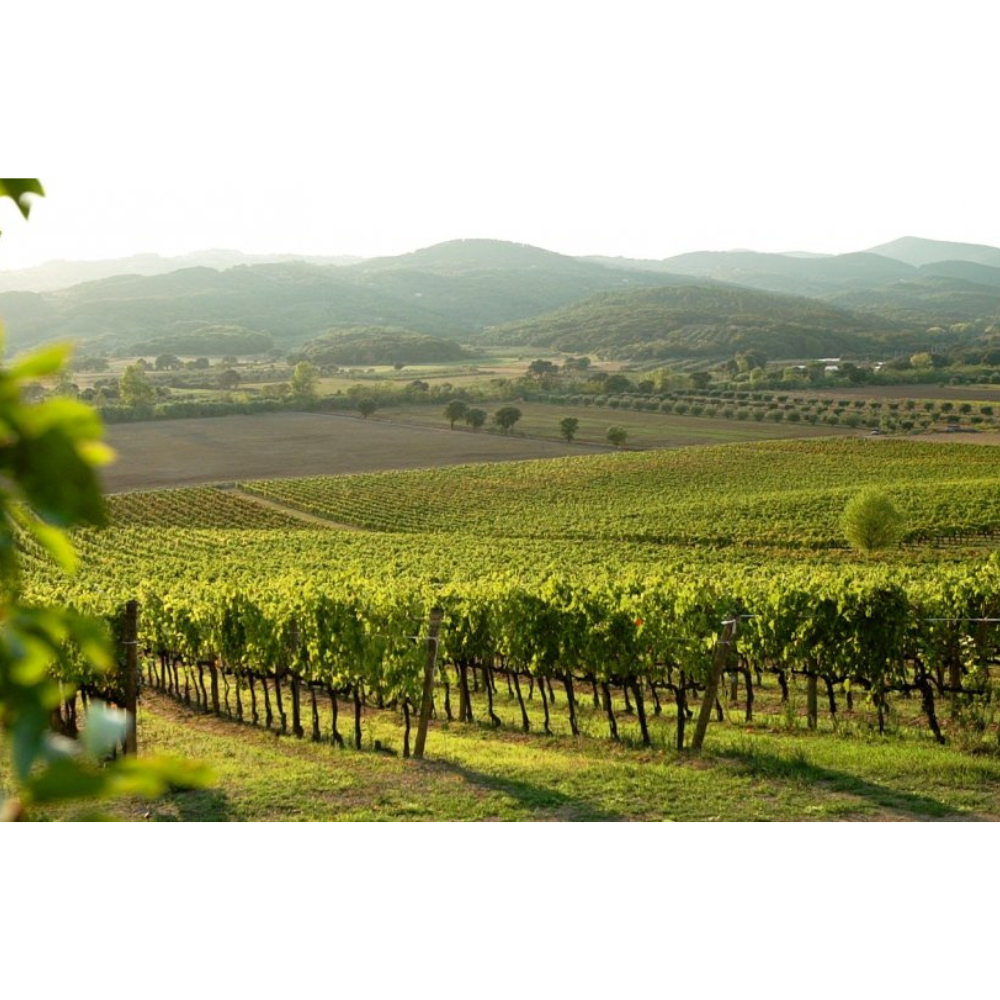 Sella Antica 'Cowboy' Wine