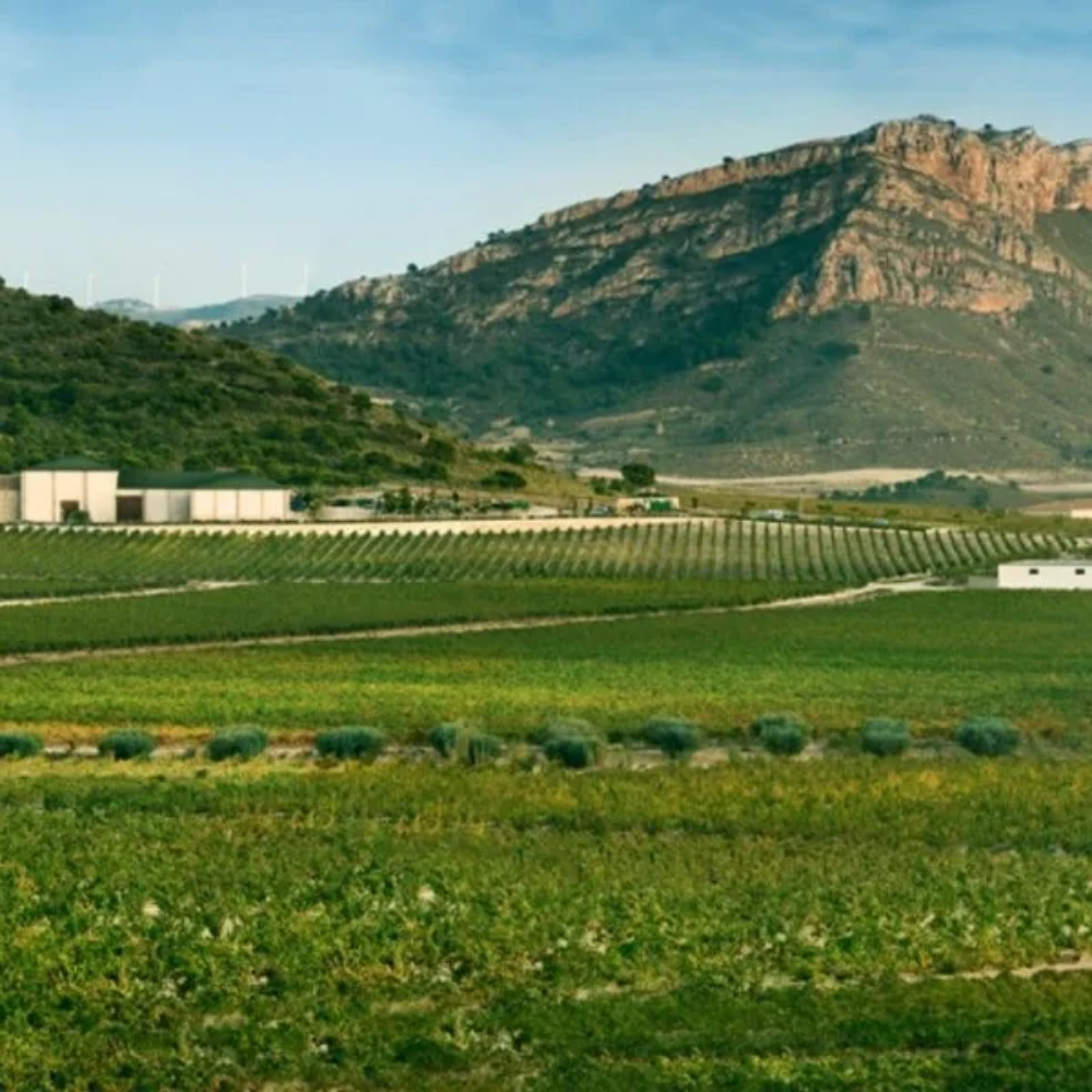 Juan Gil Jumilla Red Blend