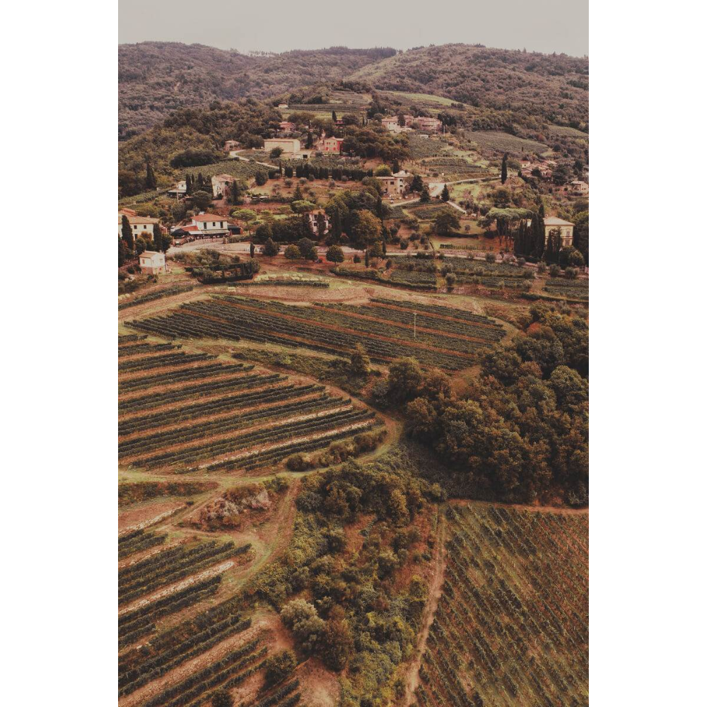 Lamole di Lamole Maggiolo Chianti Classico