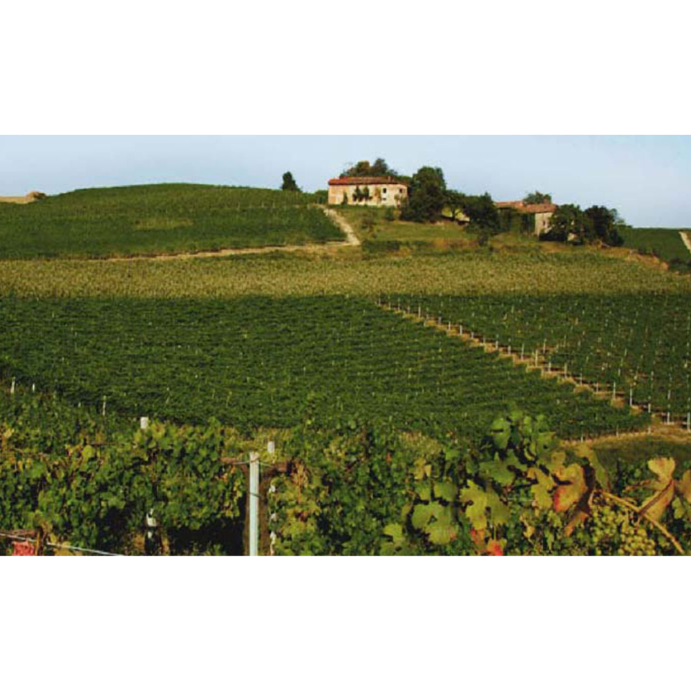 Bongiovanni Nebbiolo
